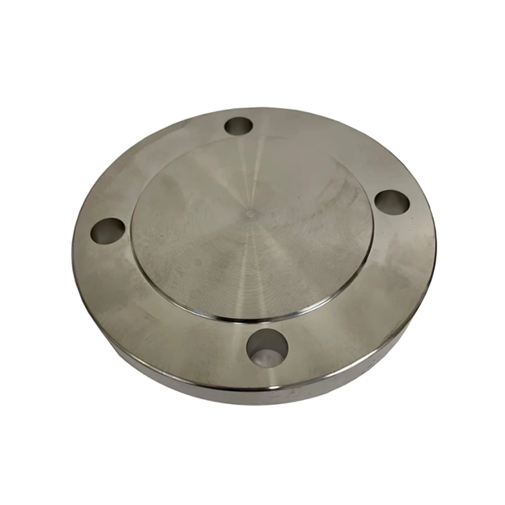 Stainless Steel Blind Flanges